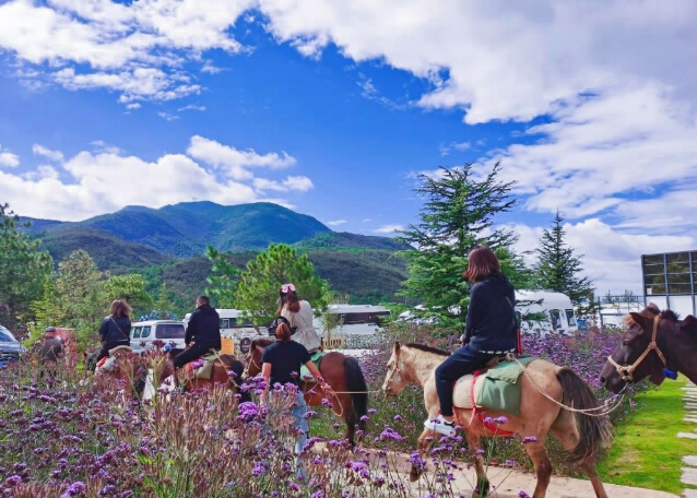 麗江東巴谷汽車(chē)旅游營(yíng)地