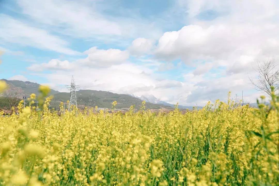 多彩麗江，村游正當(dāng)時(shí)，約起來！