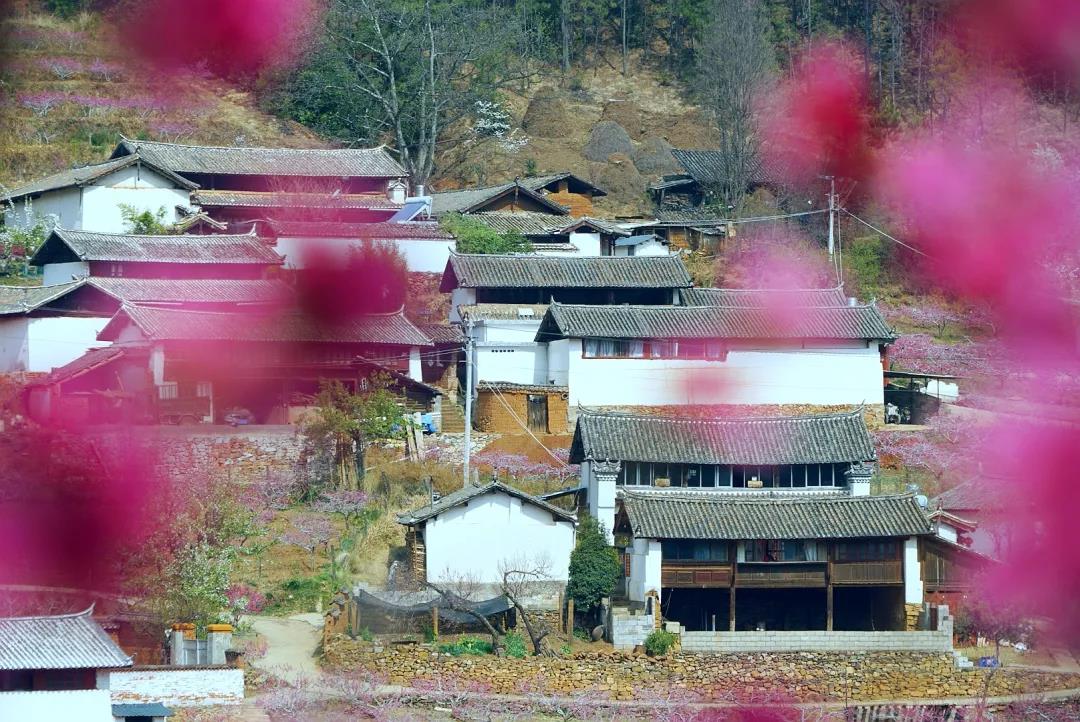 “郭靖”、“黃蓉”喊你來“桃花島”過日子……