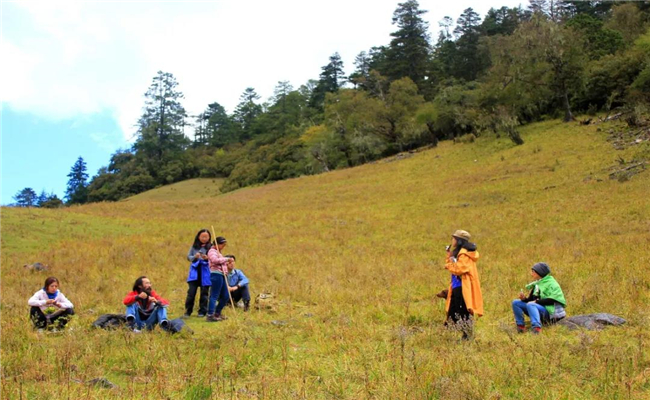 麗江春季旅游指南，每一處都能讓你朋友圈“炸鍋”！