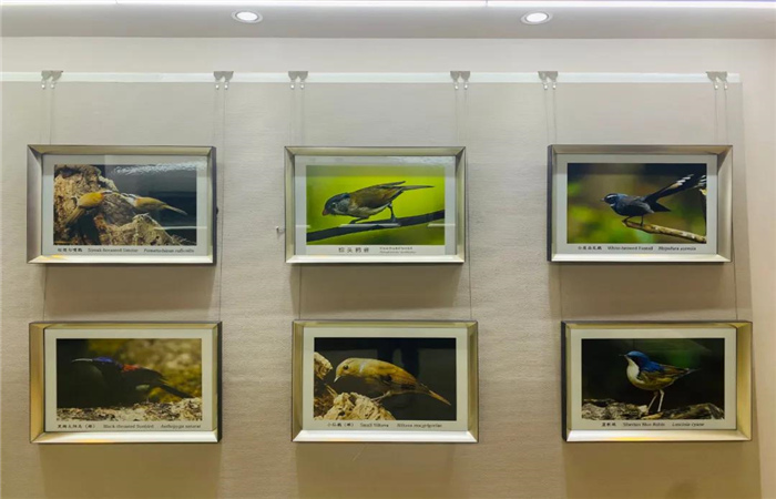 多維度展示滇西北生物多樣性！麗江這個中心值得一去