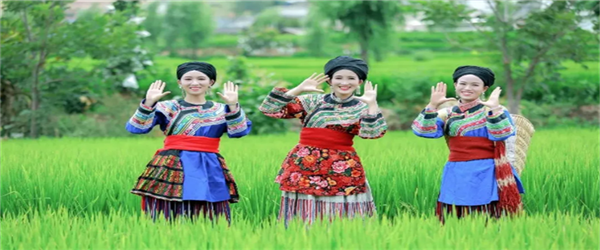 相約水鄉(xiāng)，邂逅激情！華坪縣新莊鄉(xiāng)首屆鄉(xiāng)村旅游節(jié)即將開幕
