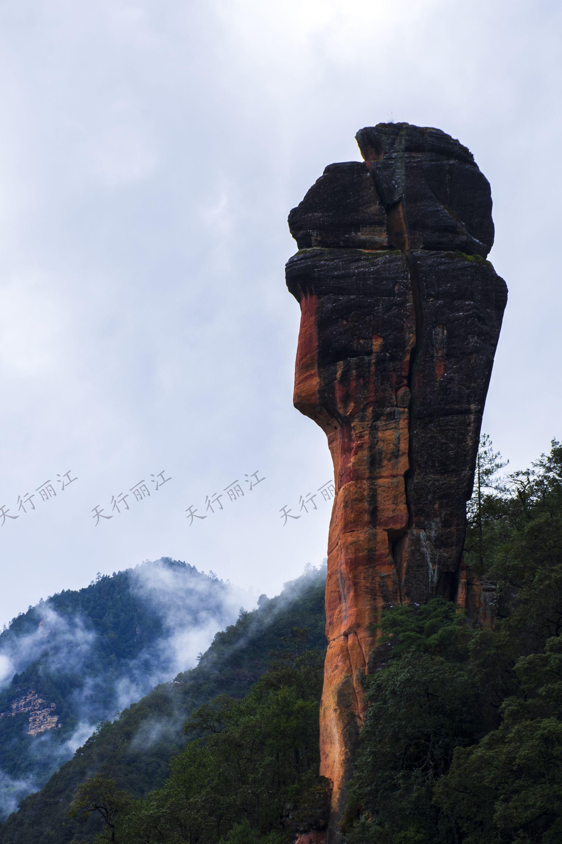 麗江老君山黎明景區(qū)因其避世的清幽、壯美的丹霞，成為了一處令人向往的秘境。 在這里，可以游壯美千龜山。景區(qū)以丹霞地貌聞名，是國內面積最大、發(fā)育最完整的丹霞地貌。以千龜山為代表，其形如烏龜?shù)膲邀惥坝^，堪稱中國一絕。游人可乘坐索道，輕松游覽這一奇觀。